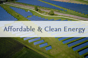 Affordable & Clean Energy